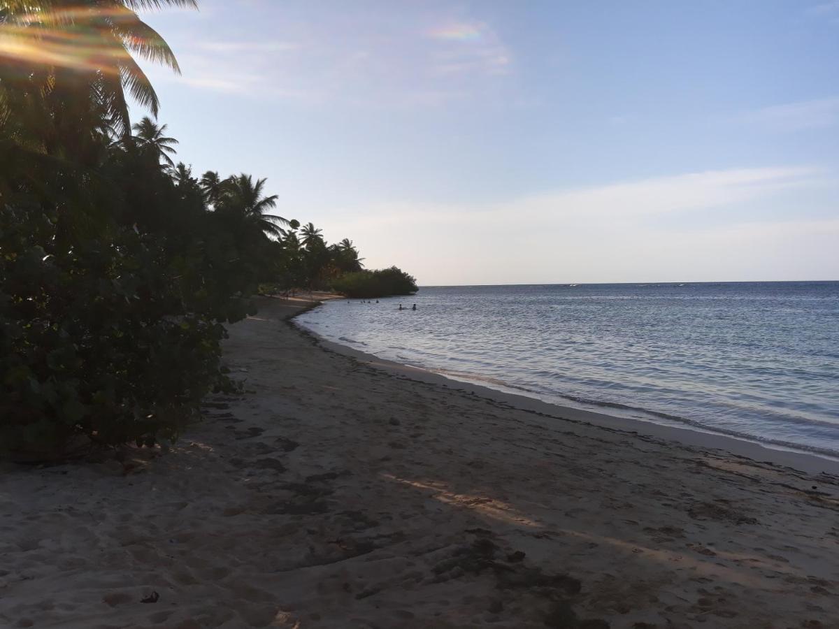 Casa De Matias Daire Las Terrenas Dış mekan fotoğraf