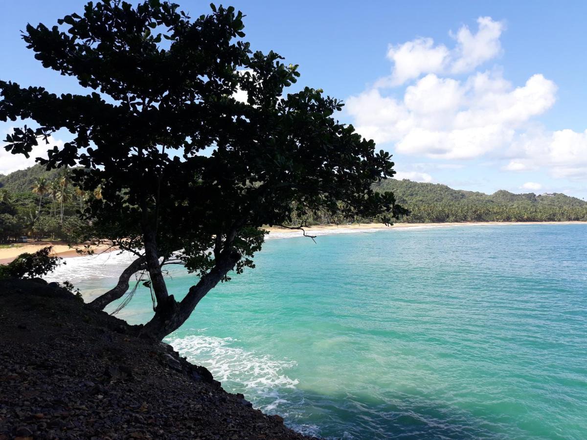 Casa De Matias Daire Las Terrenas Dış mekan fotoğraf